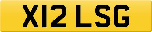 X12LSG