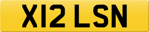 X12LSN