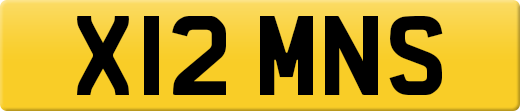 X12MNS