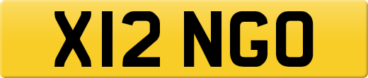 X12NGO