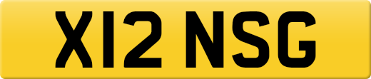 X12NSG