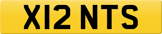 X12NTS