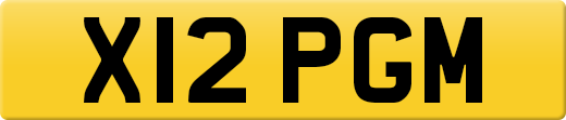 X12PGM