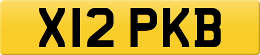 X12PKB