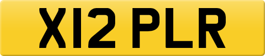 X12PLR