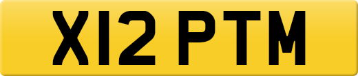 X12PTM