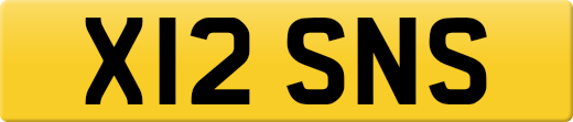 X12SNS