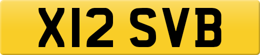 X12SVB