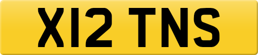 X12TNS