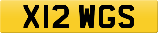 X12WGS
