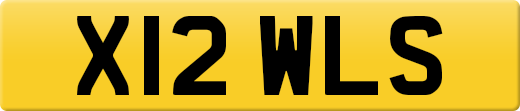 X12WLS