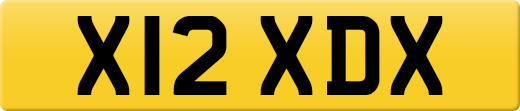 X12XDX