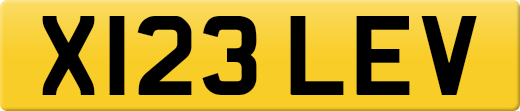 X123LEV