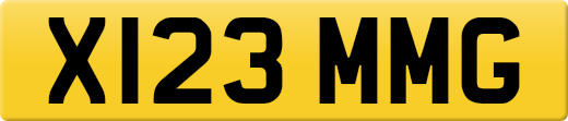 X123MMG