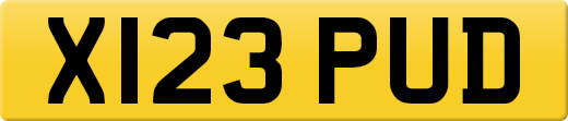 X123PUD