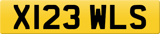 X123WLS