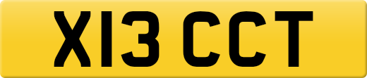 X13CCT