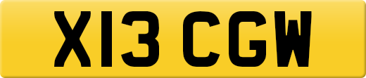 X13CGW