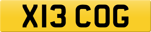 X13COG