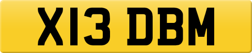X13DBM