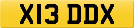 X13DDX
