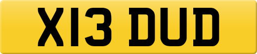 X13DUD