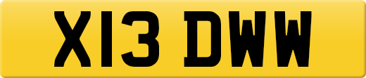 X13DWW