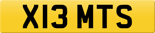 X13MTS