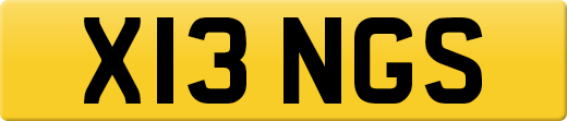 X13NGS