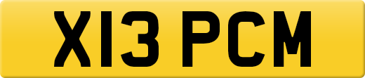 X13PCM