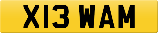 X13WAM