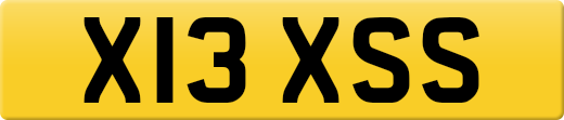 X13XSS