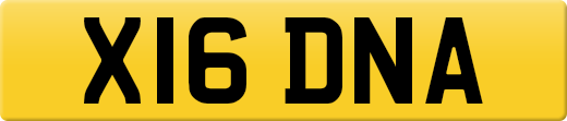 X16DNA