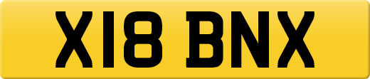 X18BNX