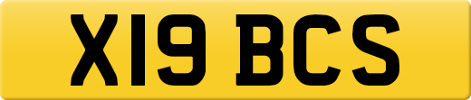 X19BCS