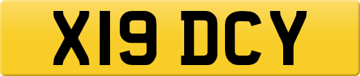 X19DCY