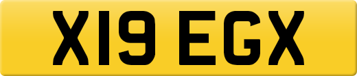 X19EGX