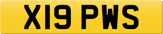 X19PWS