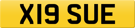 X19SUE