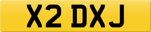 X2DXJ