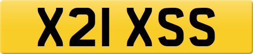 X21XSS