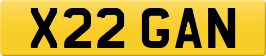 X22GAN