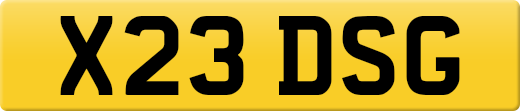 X23DSG