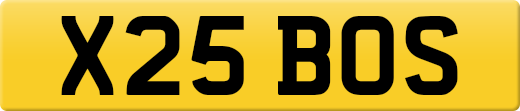 X25BOS