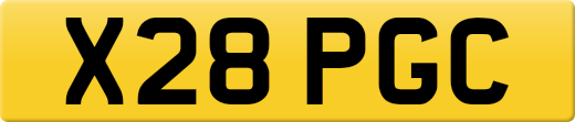 X28PGC