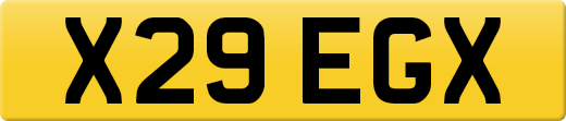 X29EGX