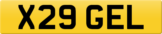 X29GEL