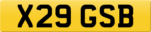 X29GSB