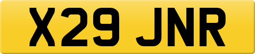 X29JNR