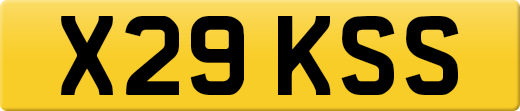 X29KSS